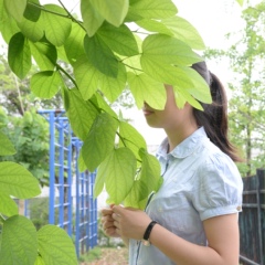 Junyi Yang, 28 лет, Shiyan