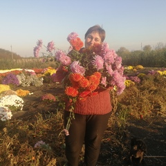 Галина Докучаева, Воронеж