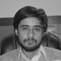 Rajan Joshi, 33 года, Butwāl