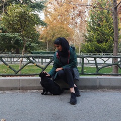 Reyhane Razavi, 24 года, Tehran