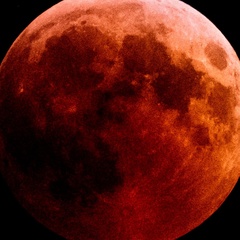 Red Moon, Зеленоградск