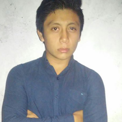 Jose Luis Pat Sanchez, 25 лет, Mérida