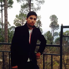 Malik Zeeshan, 27 лет, Rawalpindi