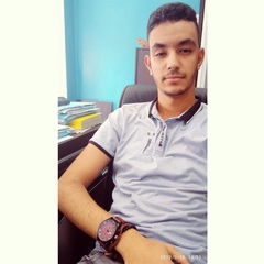 Anas Boulahrouz, 27 лет, Nador