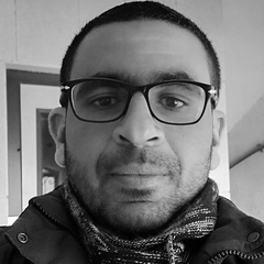 Ahmed Elnaggar, 36 лет, Cairo