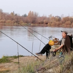 Геннадий Кононов, 57 лет, Бобруйск