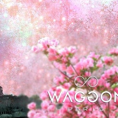 Waggon Paris, Семей