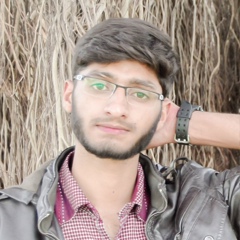 Mansoor Ali, 26 лет, Islamabad