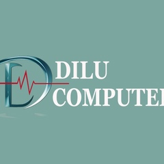 Dilu Computer, 31 год, Ho Chi Minh City