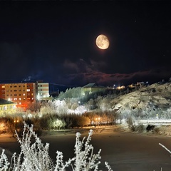 Александр Сергеевич, Полярный