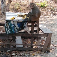 ภานุ สุขใจ, 34 года, Bangkok