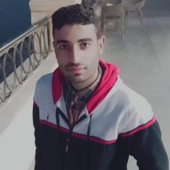 Mohamed Hamada, 26 лет, Egypt