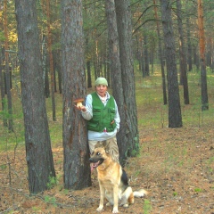 Наталья Кашперова, 72 года, Бердск