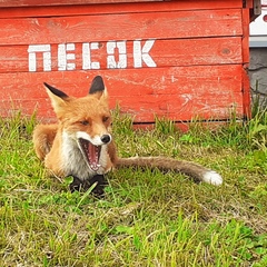 Людмила З, Buenos Aires