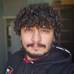 Islam Hamed, 26 лет, Nablus