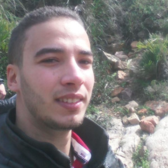 Hamza Mannei, Tunis