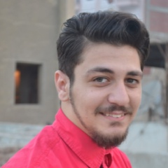 Mohamed Shawqy