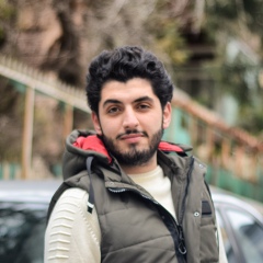 Anas Alhamwi, 29 лет