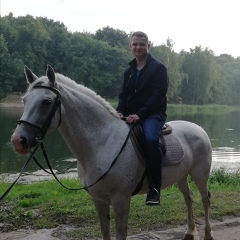 Дмитрий Алексеев, 33 года, Нижний Новгород