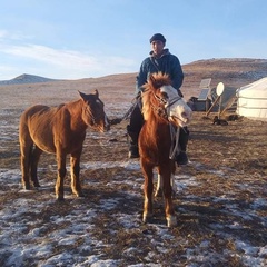 Ганхүү Тайванжаргал, 28 лет, Ulaanbaatar