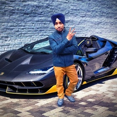 Sukhjit Singh, 29 лет, Kapurthala