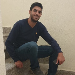 Husam Aljetawi, 25 лет, Amman