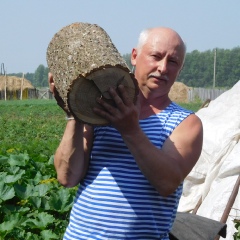 Андрей Курдюков, 56 лет, Санкт-Петербург