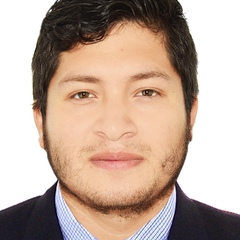 Brayan Martinez, 27 лет, Lima