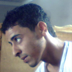 Hamza Zaidi, Alger