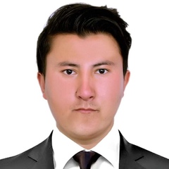 Hussain Nikzad, 31 год, Kabul