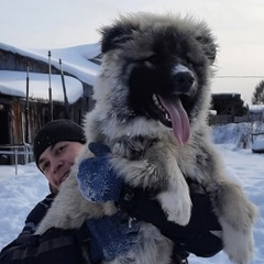 Руслан Рыбников, Томск