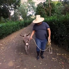 Mario Perez, San Salvador