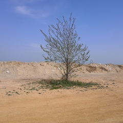 思宁 张, 27 лет, Qinhuangdao