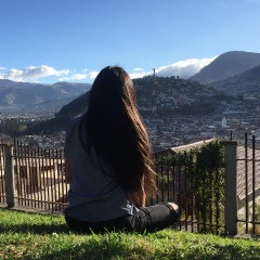 Anto Ríos, 27 лет, Quito