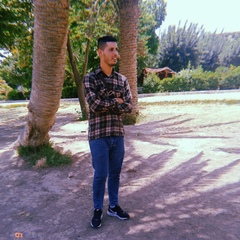 Hamza Megheni, Alger