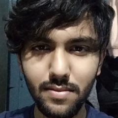 Aakash Mallik, 26 лет, Delhi