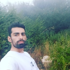 Mohammad Rostami, 28 лет, Ashkhaneh