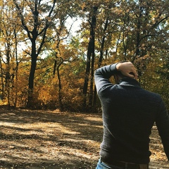 Александр Литвинов, Воронеж