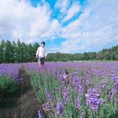 Raehwa Jeong, 34 года, Sokcho