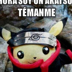 Otaku Dark, Ensenada