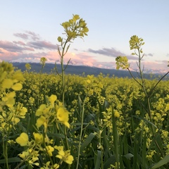 Лидия Звозникова, Каракол