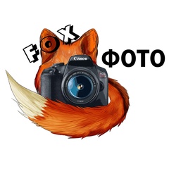 Fox Foto