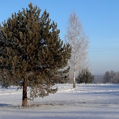 Арина Полянская, Браслав