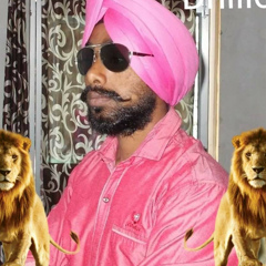 Gurjant Singh Dhillon, 30 лет