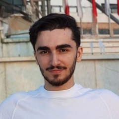 Shayan Shah, 24 года, Isfahan