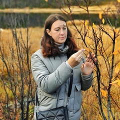 Елена Немыкина, 37 лет, Мурманск