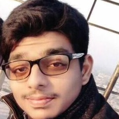 Salman Aziz, 25 лет, Lahore