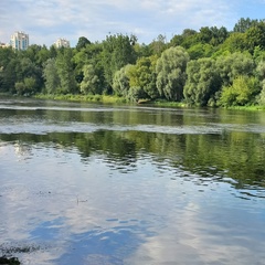 Анастасия Воляк, Гродно