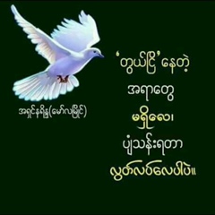 မင္း ခ, 36 лет, Monywa