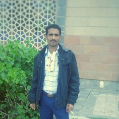 Shahin Saqr, 38 лет, Aden